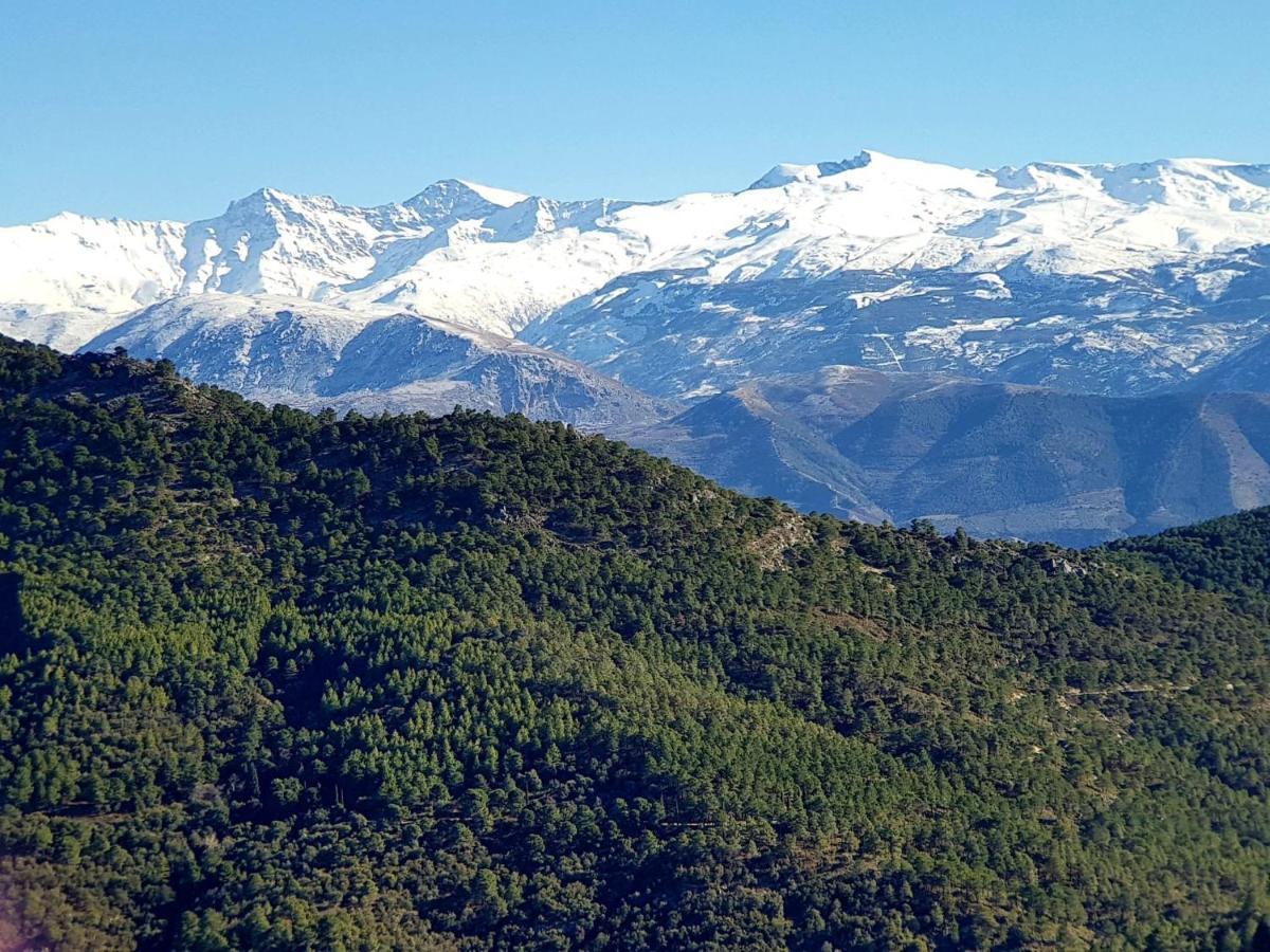 Rincon Del Genil * Cenes De La Vega